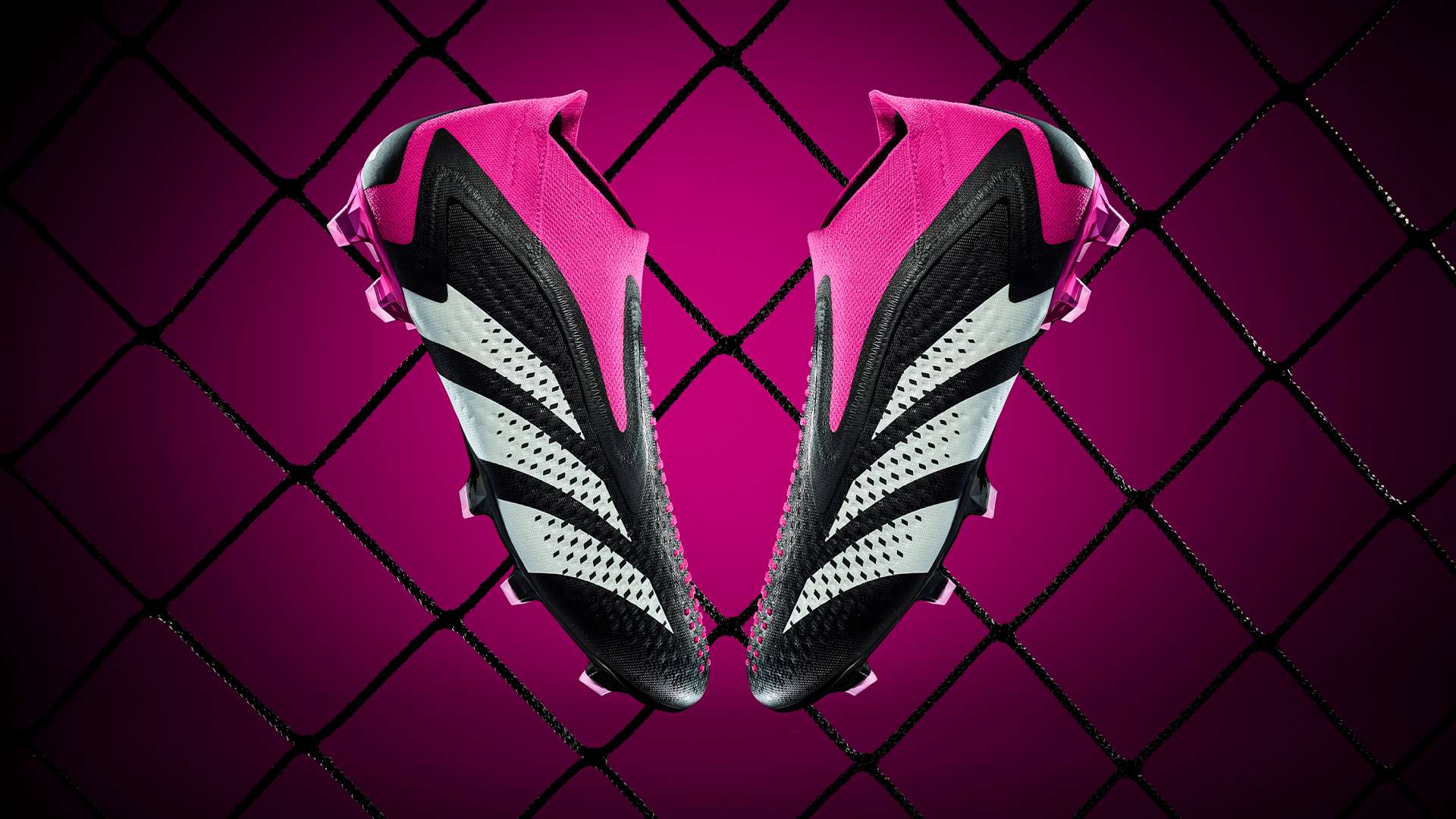 国国家男子 国国家男子